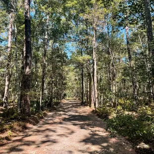 Historic brick road-1mile loop