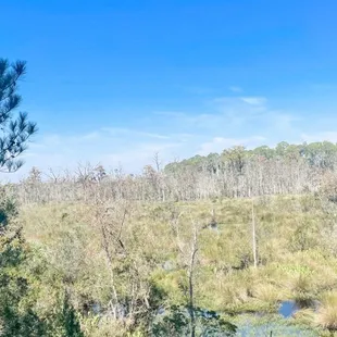 View from the overlook
