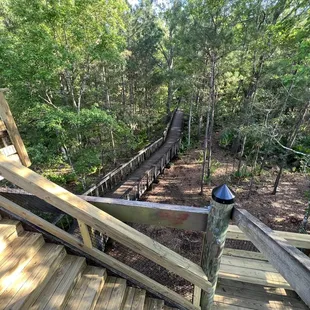 Tower view towards entrance