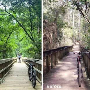 Island Trail entrance gets a new bridge (Apr2024)