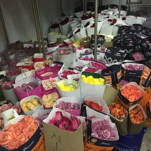 Rose cooler at Valentine&apos;s 2017