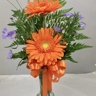 Gerberas