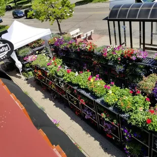 The Tim and Tom&apos;s Speedy Market Garden Center is open for business!! (Photo taken May 12, 2017)