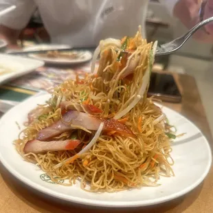 Pan Fried Noodles with BBQ Pork