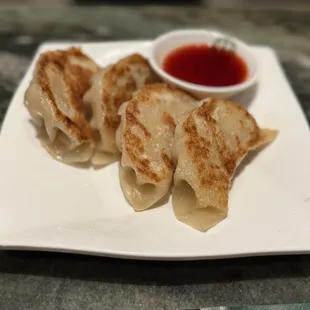 Pan Fried Chicken Dumplings