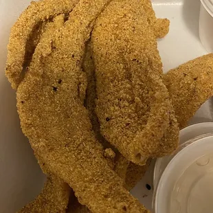 CATFISH is INCREDIBLE!!