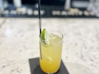 Manifest Distilling