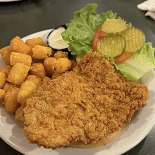 Pork tenderloin sandwich and tator tots - REALLY good!