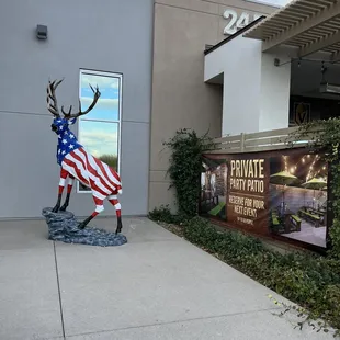 Out front 01/08/2023