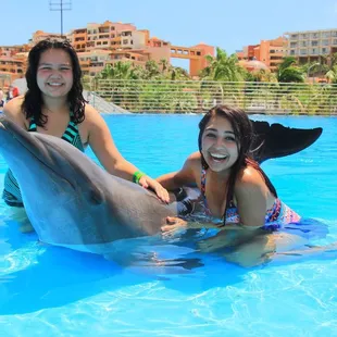 Swimming with dolphins in Cabo San Lucas.