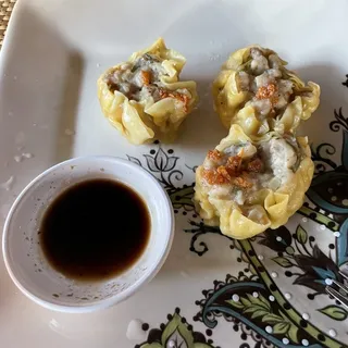 Homemade Thai Dumplings