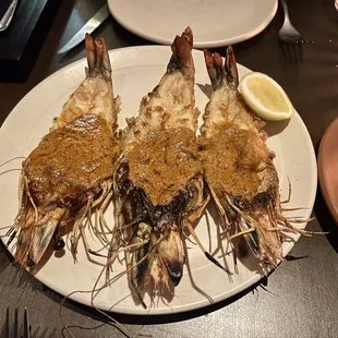 shellfish, mussels, oysters and mussels, oysters, food