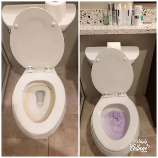 Dirty Bathroom Toilet Cleaning