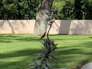 Casa Paloma Bed & Breakfast