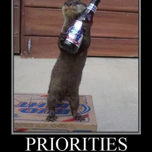  a otter holding a beer bottle