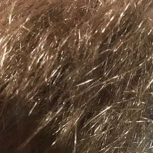 Hair