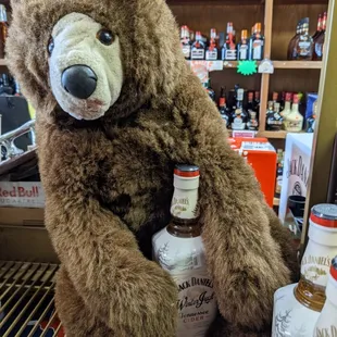 Barry the Bear holding a bottle of Winter Jack cider!