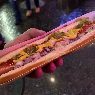 a person holding a hot dog