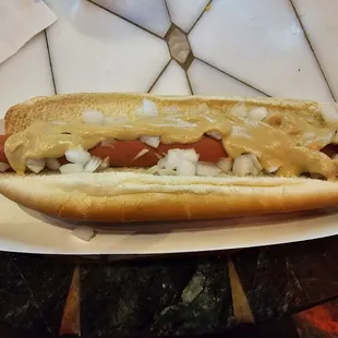 Angry dog.  Just 4 things.  Dog, bun, onions and mustard