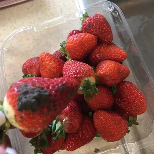Strawberries