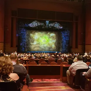 Waiting on Wicked to start!