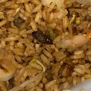 Roach in my shrimp fried rice