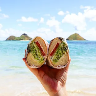 a hand holding a sandwich