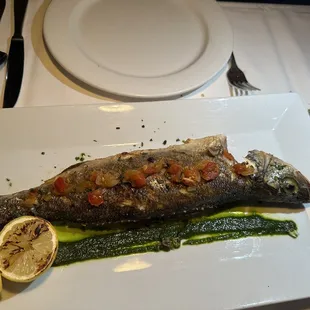 Branzino