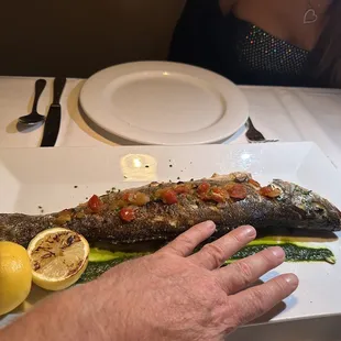 Branzino