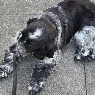 Employee of the year!