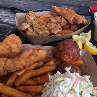 Oysters