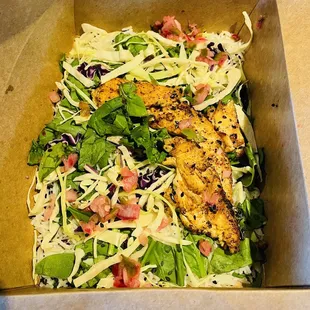Grilled Chicken Rice - I got 4 small and thin pieces of chicken :(