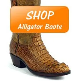We carry all kinds of Alligator Boots and you can even pick the exact style you want at http://timsboots.com