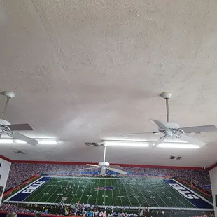 a view of a football field with fans