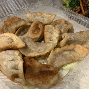 Pot Stickers