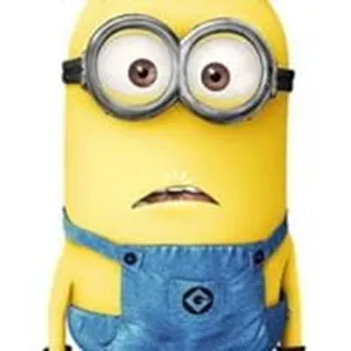Hiep N.