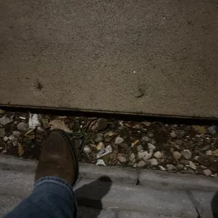 the shadow of a person standing on a sidewalk