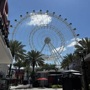 Great view of the Ferris Wheel