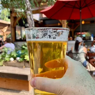 Cheers! Chuckanut Pilsner on draft