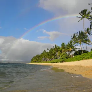 Lei P.