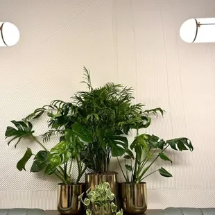 Wine Bar. Wine Shop. Beer Bar