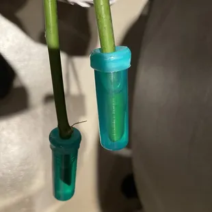 Nice touch with individual water tubes. Roses will last a little longer than without.