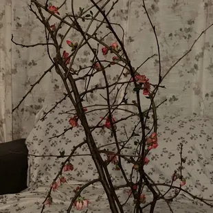 Quince  from Tina. Thank you
