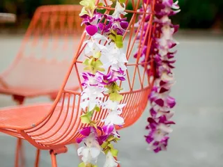 Paradise Leis