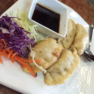 Pot stickers with soy dipping sauce