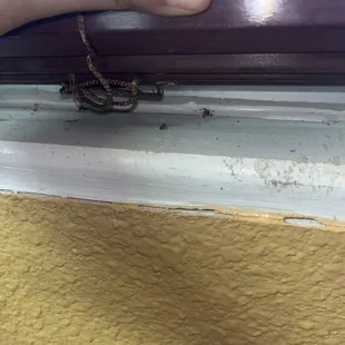 ows a hand holding a piece of metal