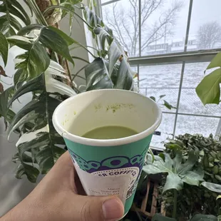 Matcha Latte
