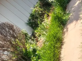 Bryant Grove - An Apartment Community