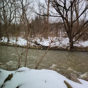 The view out back from inside the warm and cozy dining room.