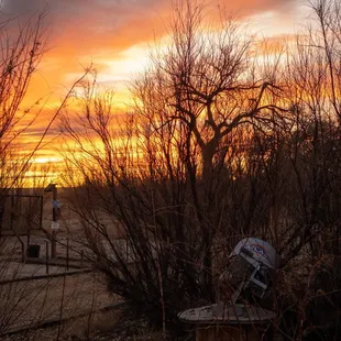 Sunsets and sunrises at Tinnin Hunt Club